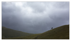 Campo Imperatore